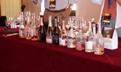 degustazione_22